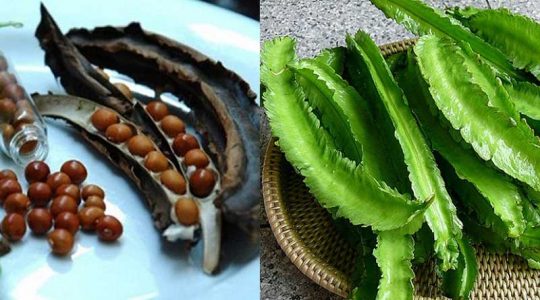4 cách chữa đau dạ dày bằng đậu rồng được dùng nhiều nhất hiện nay 5 4 bài thuốc chữa đau dạ dày bằng đậu rồng được dùng nhiều nhất