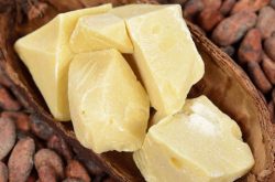 Điều trị eczema bằng bo cacao giúp cải thiện và phục hồi nhanh làn da hư tổn