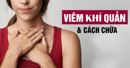 Bệnh viêm khí quản là gì? Nguyên nhân, triệu chứng và cách phòng tránh 12 Viêm khí quản là bệnh về đường hô hấp dưới