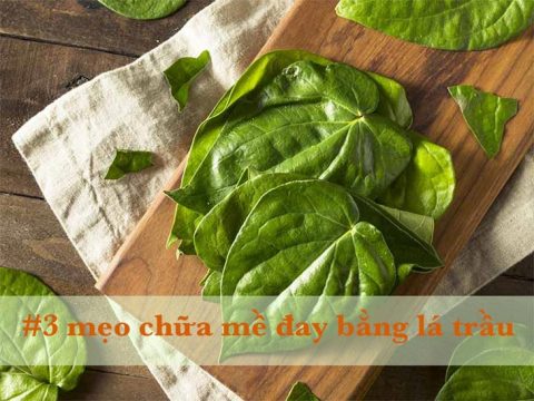 3 mẹo chữa mề đay bằng lá trầu, mẹo dân gian hay nên dùng