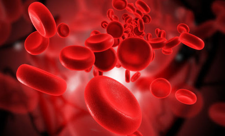 Thiếu máu do thiếu sắt có thể gây ngứa khắp người nhưng không nổi mẩn