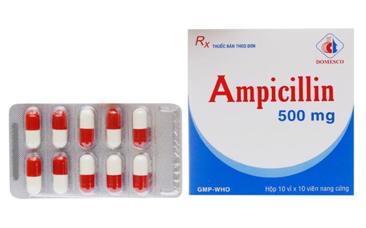 Các thuốc kháng sinh như Ampicillin thường được chỉ định khi người bệnh có vi khuẩn Hp