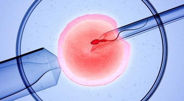 IVF mở ra cơ hội cho những bệnh nhân tắc vòi trứng