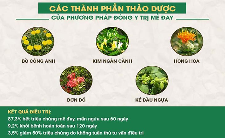 Thành phần và hiệu quả của bài thuốc Tiêu ban Giải độc thang