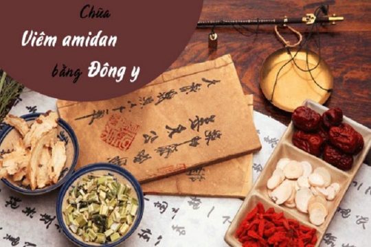 Thuốc đông y trị amidan cấp và mãn tính hiệu quả