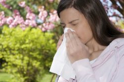 Viêm mũi dị ứng theo mùa là một bệnh quen thuộc tại đường hô hấp
