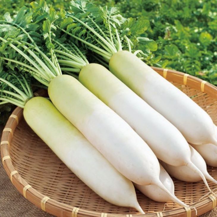 Củ cải trắng giúp bổ sung vitamin cần thiết giúp da mịn màng, trắng sáng