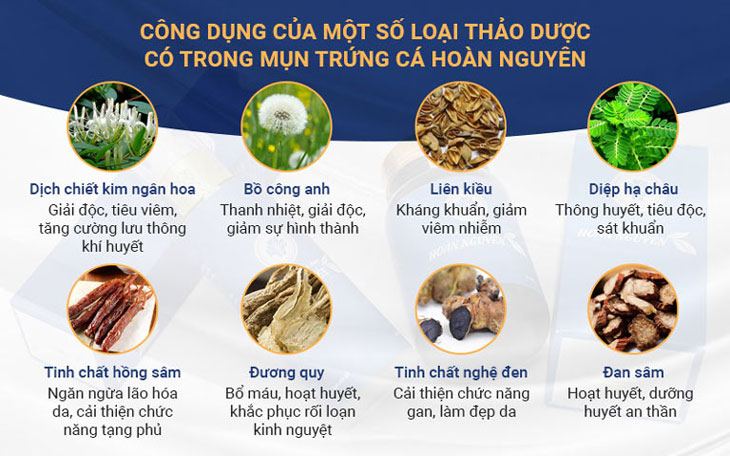 Công dụng của các loại thảo dược có trong BSP Trị Mụn trứng cá Hoàn Nguyên