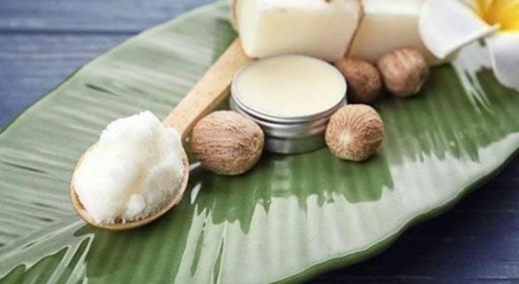 Dầu dừa kết hợp bơ cacao giúp chữa rạn da hiệu quả