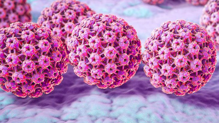 Có tới 15 chủng virus HPV có khả năng tấn công và gây bệnh phụ khoa ở nữ giới
