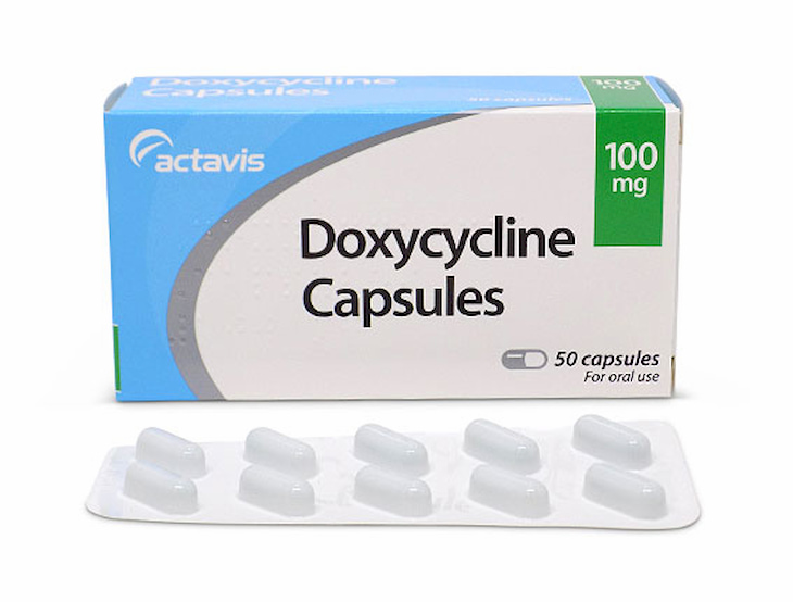 Doxycycline là thuốc điều trị mụn rất phổ biến