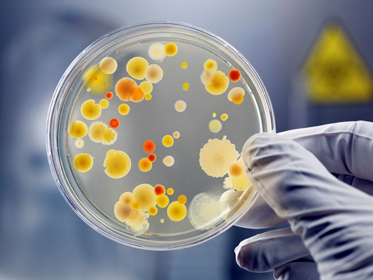 Xét nghiệm vi khuẩn HP giúp xác định chính xác nguyên nhân để có phác đồ điều trị phù hợp