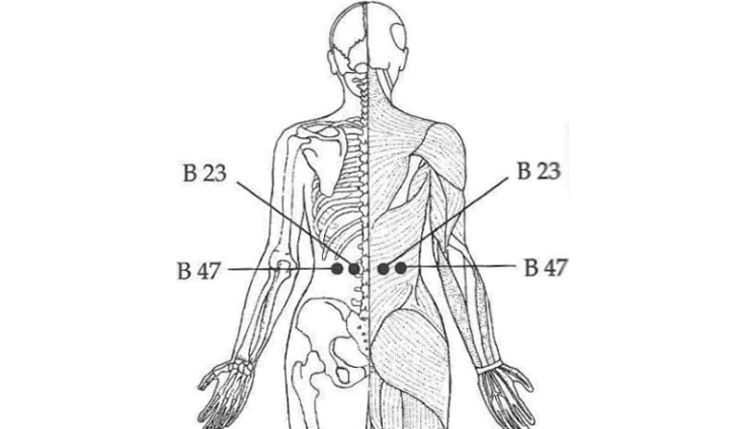 Vị trí huyệt B23 và B47