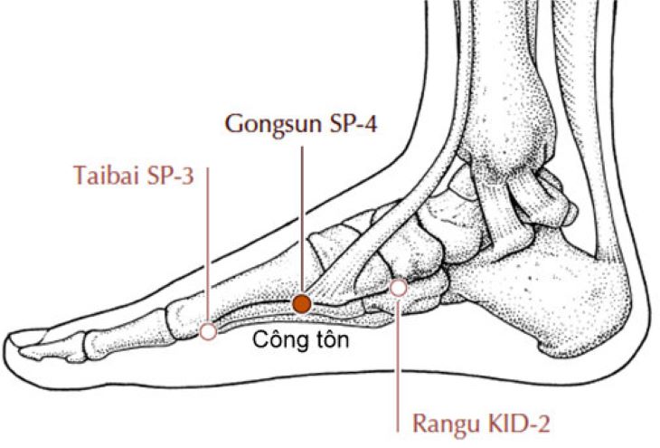 Vị trí huyệt Công tôn trên bàn chân