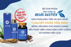 PostHN800x500 16 1 1