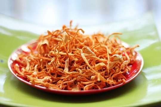 Đông trùng hạ thảo khô thường có thời gian bảo quản lâu hơn đông trùng hạ thảo tươi