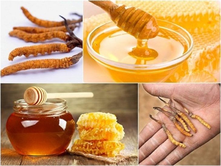 Đông trùng hạ thảo ngâm mật ong giúp tăng cường sức khỏe