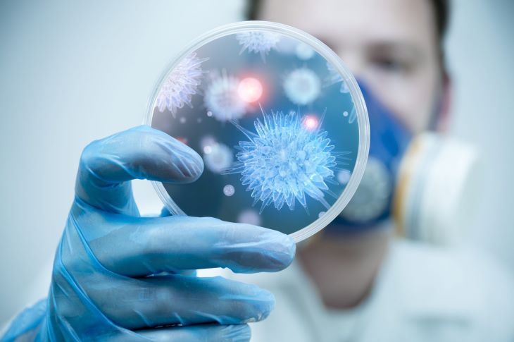 Một vài nghiên cứu khoa học cho thấy tác dụng kháng và diệt khuẩn của bạc hà rất tốt