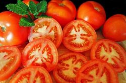Cà chua với hàm lượng lớn chất chống oxy hóa