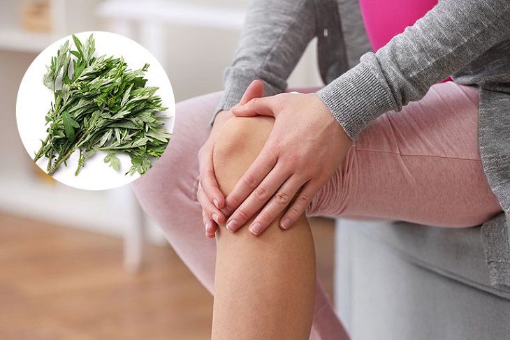 ngải cứu sẽ góp phần giúp cân bằng và hạn chế nguy cơ giảm dịch ở khớp