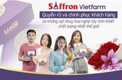Saffron Vietfarm quyến rũ khách hàng bởi những sợi nhuỵ hoa chất lượng tốt nhất thế giới