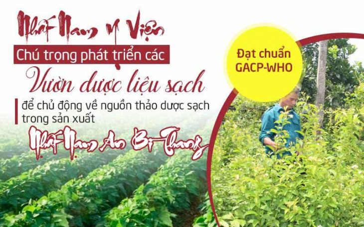 Trung tâm Da liễu Đông y Việt Nam tự chủ các vườn dược liệu chuyên canh trên cả nước