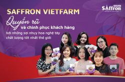 Saffron Vietfarm - Thảo mộc quý tộc kiến tạo xuân sắc đỉnh cao cho phụ nữ Việt 