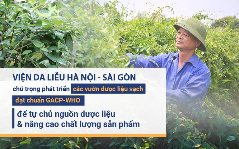Viện Da liễu Hà Nội - Sài Gòn chú trọng phát triển các vườn dược liệu sạch đạt chuẩn