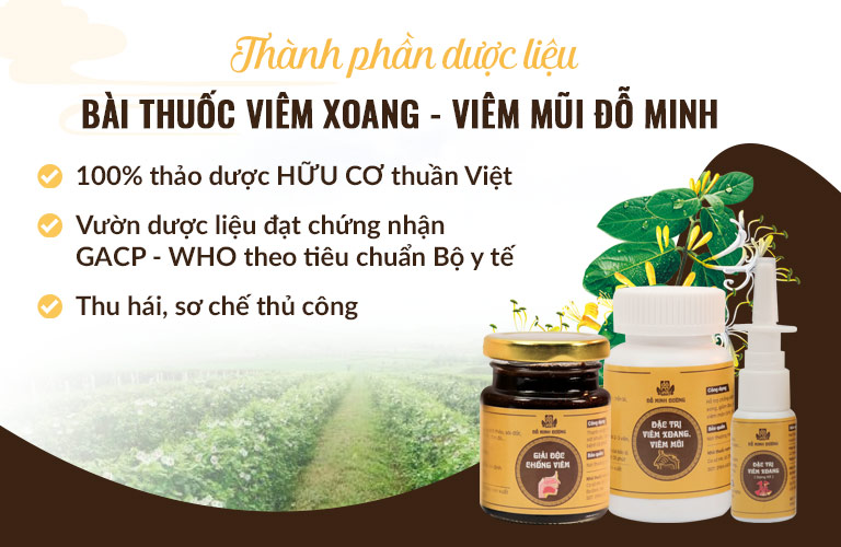 Nguồn thảo dược HỮU CƠ thuần Việt có mặt trong bài thuốc Viêm xoang Đỗ Minh Đường