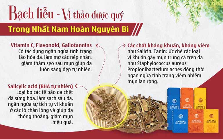 bach lieu nhatnamhoannguyenbi