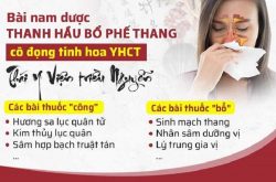 Thanh hau bo phe thang chat loc tinh hoa YHCT Trieu Nguyen