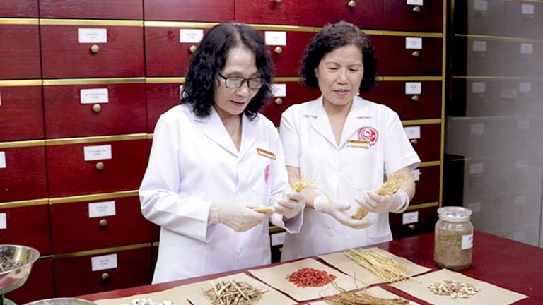 Bác sĩ Vân Anh và Bác sĩ Lê Phương cùng nghiên cứu về thành phần thảo dược bài thuốc Cốt Vương Thần Hiệu Thang