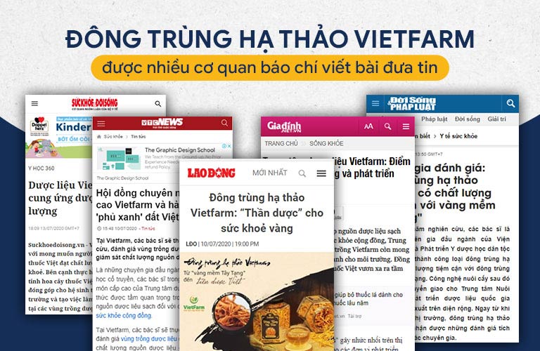 Nhiều đơn vị truyền hình, báo chí đánh giá cao chất lượng đông trùng hạ thảo Vietfarm