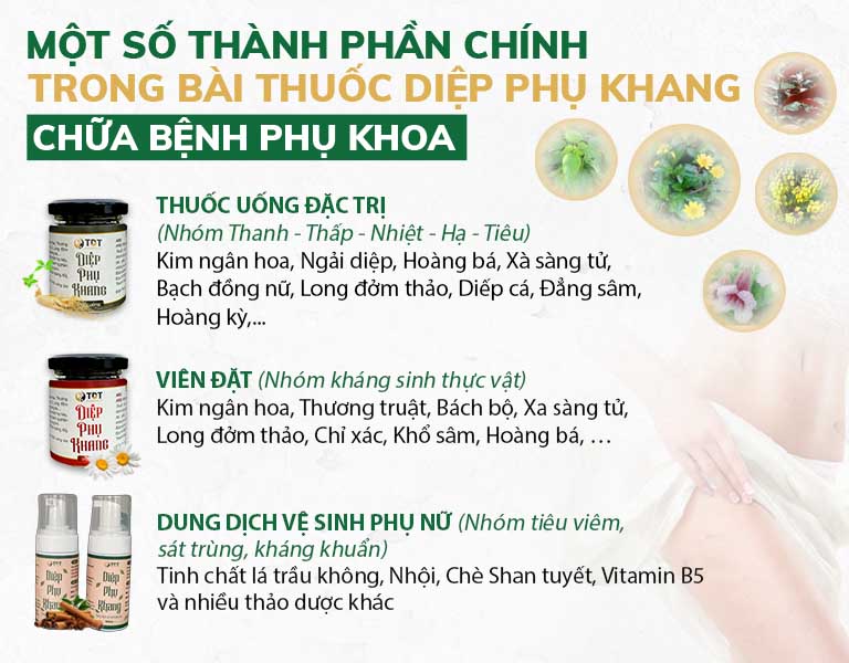 Thành phần có trong các chế phẩm Diệp Phụ Khang