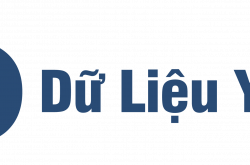 logo dulieuyte